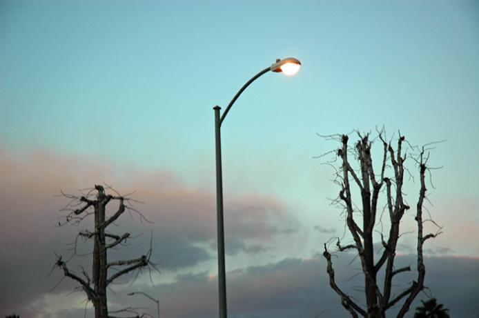 barebranchlight