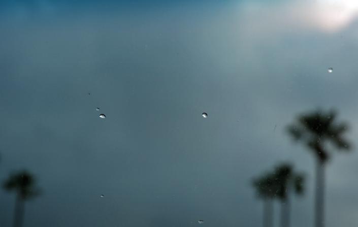palmdrops