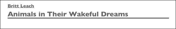 Britt Leach Animals in Their Wakeful
