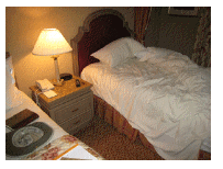 bedvegas