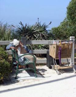 HomelessinSM2a