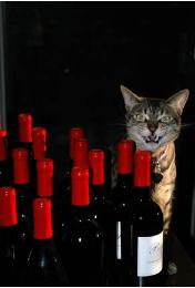 alexwine2