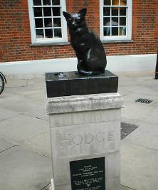 HodgeCat