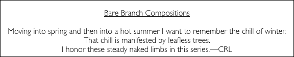  Bare Branch Compositions 