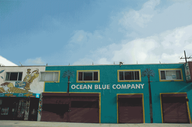 OceanBlue2copy