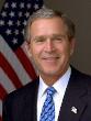 bush