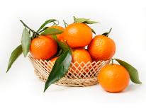 tangerinebasketl