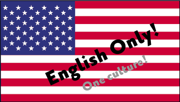 usflag640